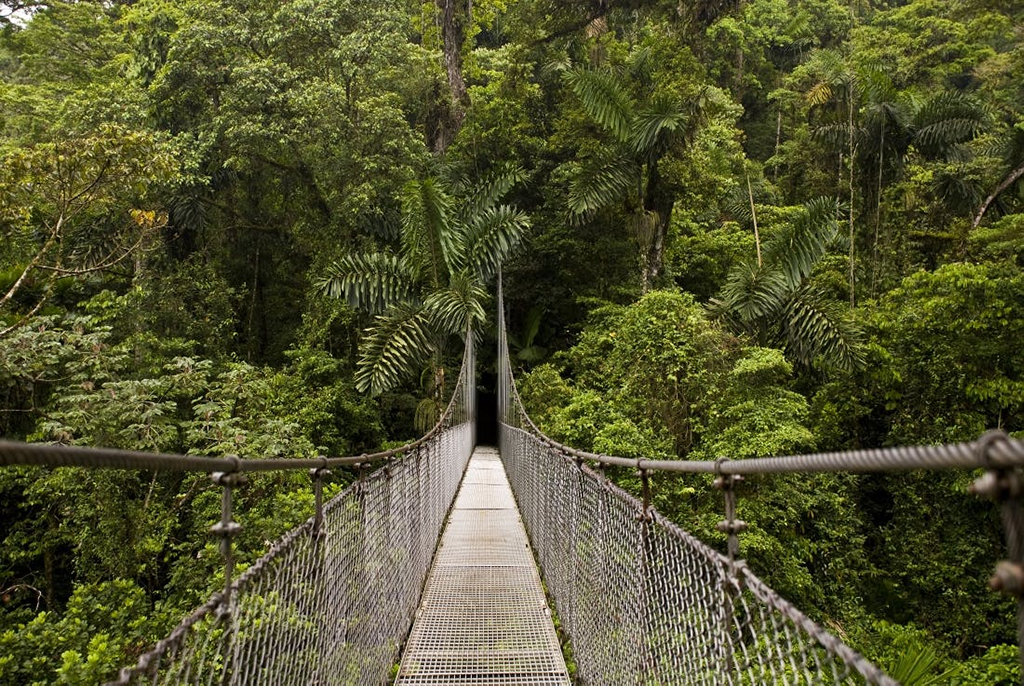 Arenal One Day Tours
