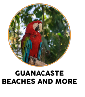 Guanacaste