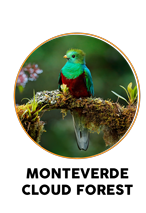Monteverde Cloud Forest