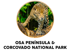 Osa Peninsula and Corcovado National Park
