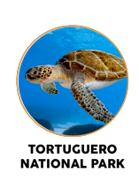 Tortuguero National Park